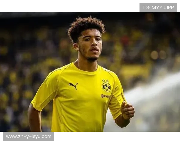 多特蒙德拟签荷兰天才全线闪耀，补充前场实力再升级