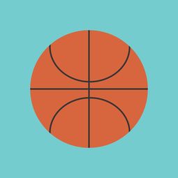 乐鱼（LEYU）体育-中国篮球职业联赛市场竞争环境与发展策略，中国竞技篮球的发展趋势