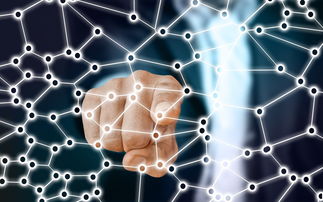 乐鱼体育APP官方下载-中国篮球职业联赛市场竞争策略分析，我国篮球职业联赛