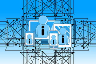 乐鱼体育-中国青少年篮球发展政策实施及推广策略评估，青少年篮球发展趋势