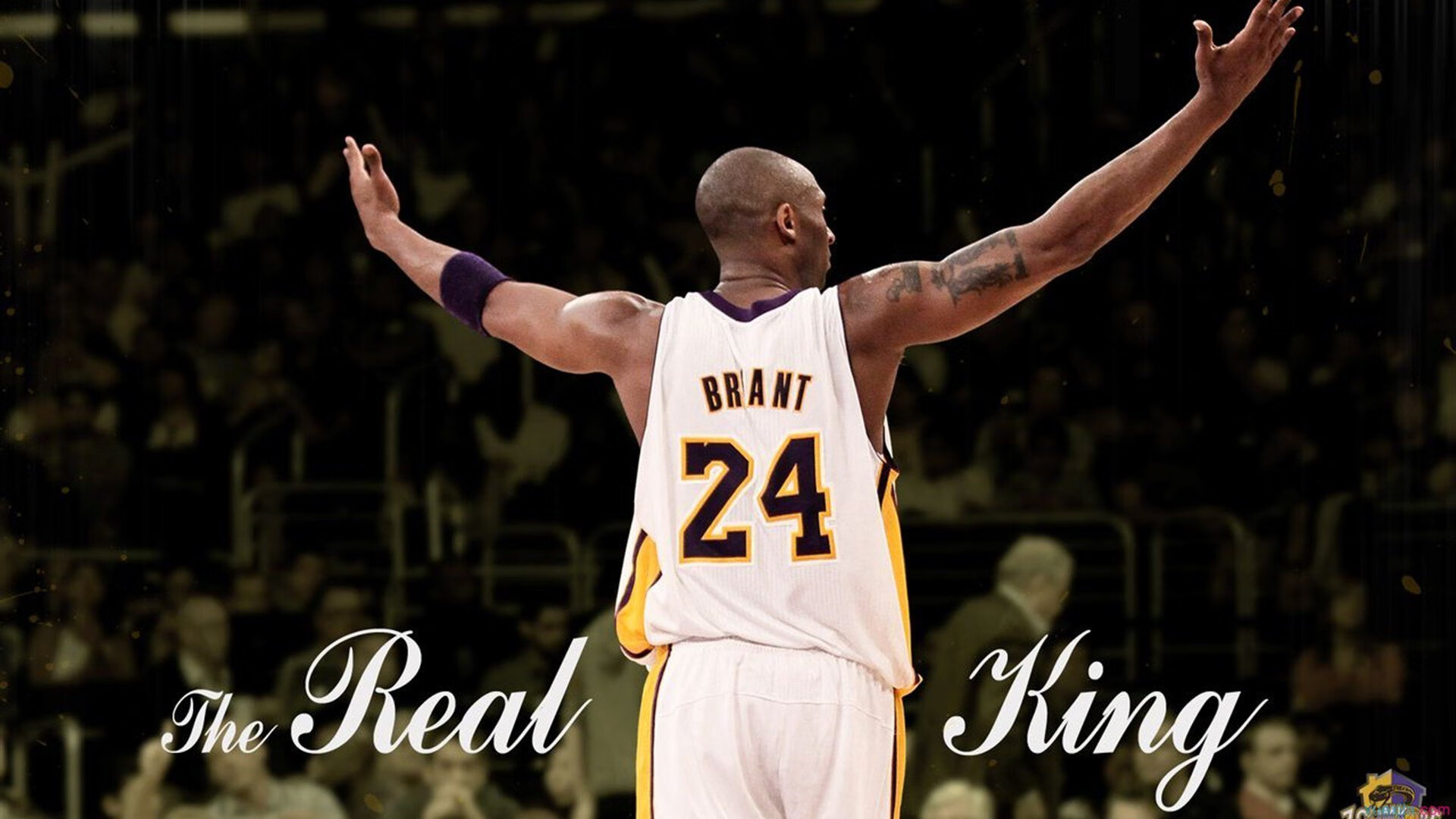 leyu乐鱼体育综合-卡特通过精湛的踢球技术,令全黑队攻防兼备,卡特十佳球